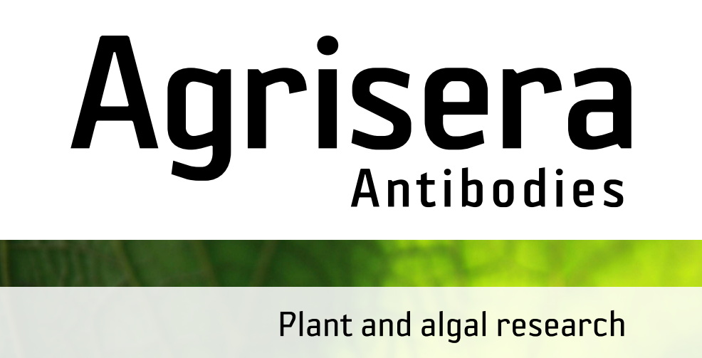 Agrisera MicroRNA相關(guān)研究植物蛋白抗體火熱促銷中！